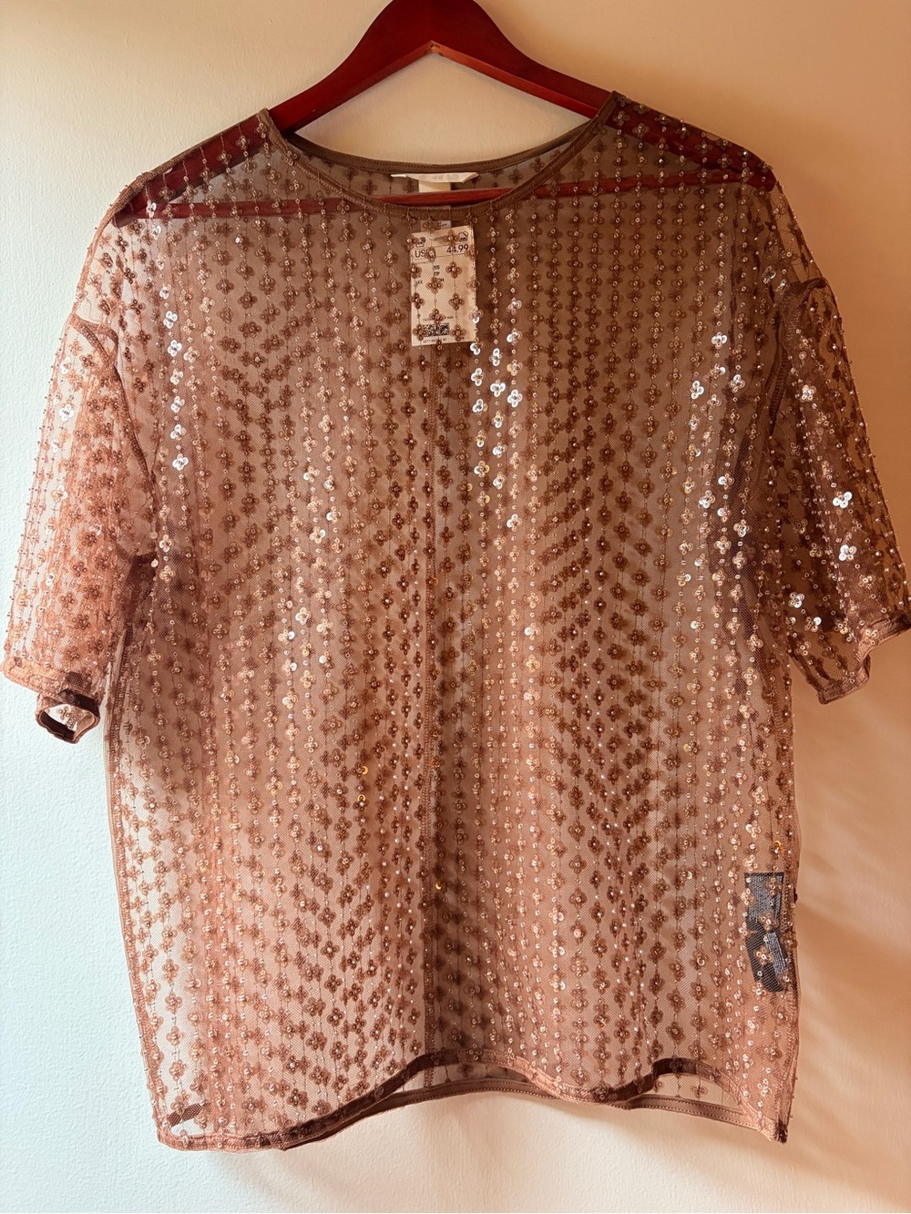 H&M Sequined Sheer Top in Dusty Brown